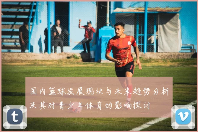 国内篮球发展现状与未来趋势分析及其对青少年体育的影响探讨