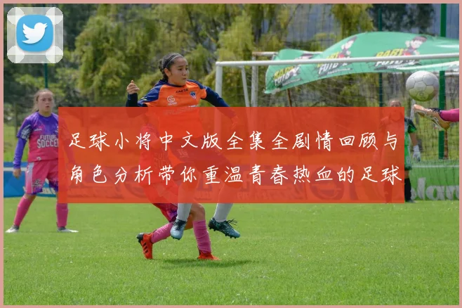 足球小将中文版全集全剧情回顾与角色分析带你重温青春热血的足球梦想