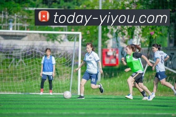 多媒体互动体验